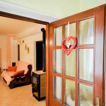 Nevija Daire Novigrad Istria Dış mekan fotoğraf